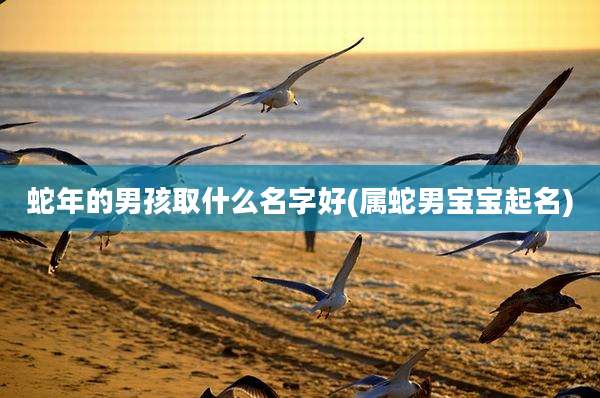 蛇年的男孩取什么名字好(属蛇男宝宝起名)