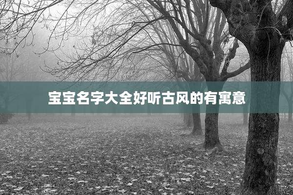 宝宝名字大全好听古风的有寓意