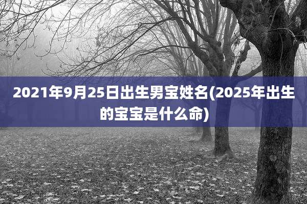 2021年9月25日出生男宝姓名(2025年出生的宝宝是什么命)