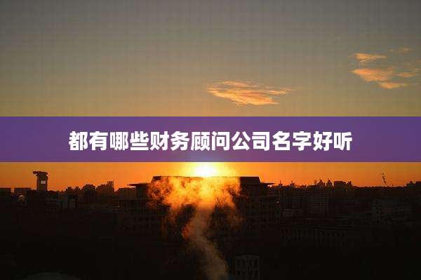 都有哪些财务顾问公司名字好听