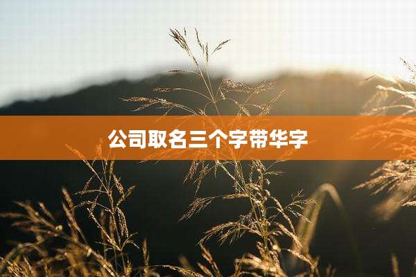 公司取名三个字带华字