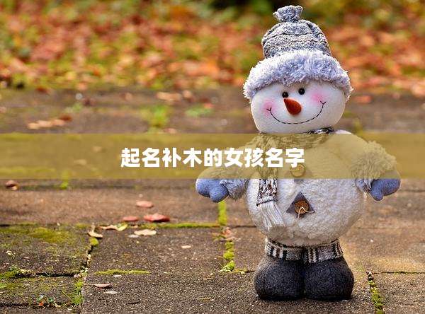 起名补木的女孩名字