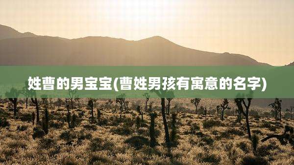 姓曹的男宝宝(曹姓男孩有寓意的名字)