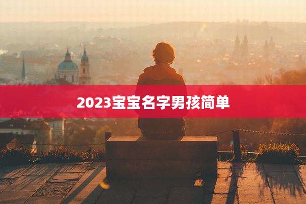 2023宝宝名字男孩简单