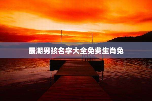 最潮男孩名字大全免费生肖兔