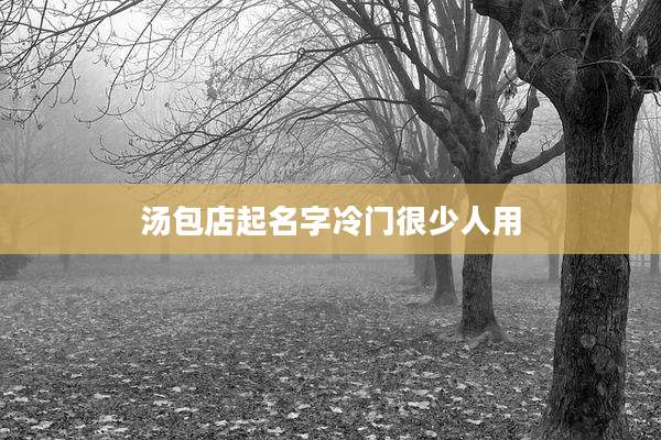 汤包店起名字冷门很少人用