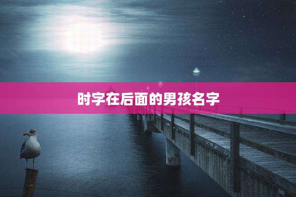 时字在后面的男孩名字