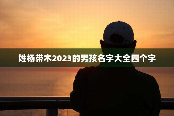 姓杨带木2023的男孩名字大全四个字