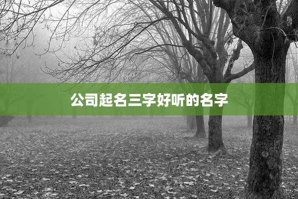 公司起名三字好听的名字