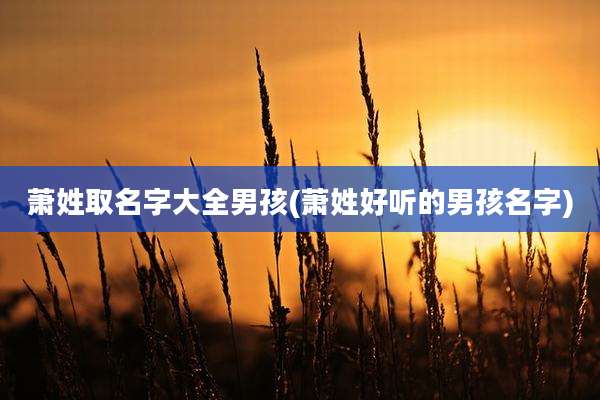 萧姓取名字大全男孩(萧姓好听的男孩名字)