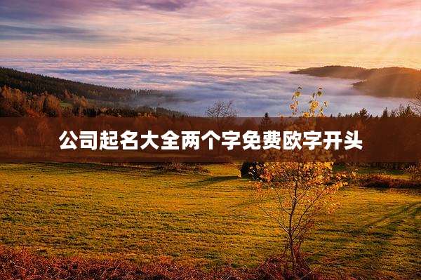 公司起名大全两个字免费欧字开头