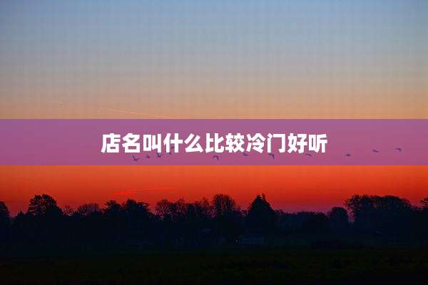 店名叫什么比较冷门好听