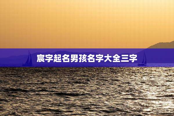 宸字起名男孩名字大全三字