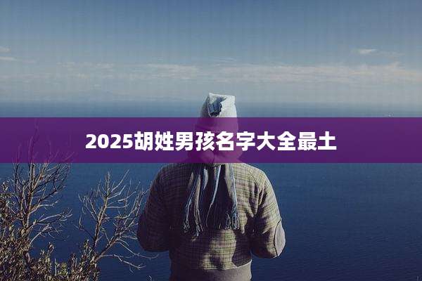 2025胡姓男孩名字大全最土