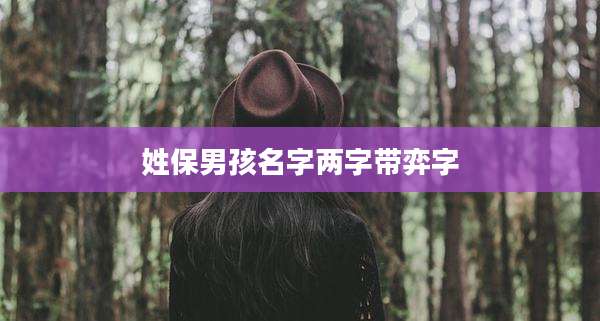 姓保男孩名字两字带弈字