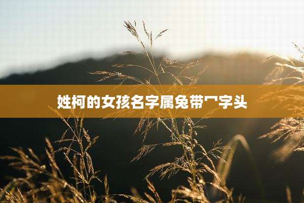姓柯的女孩名字属兔带冖字头
