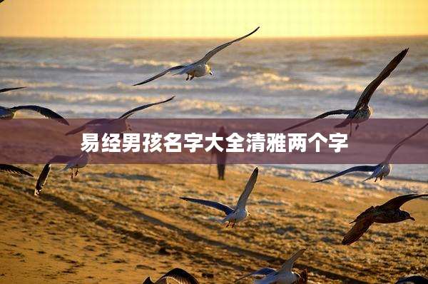 易经男孩名字大全清雅两个字