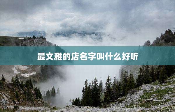 最文雅的店名字叫什么好听