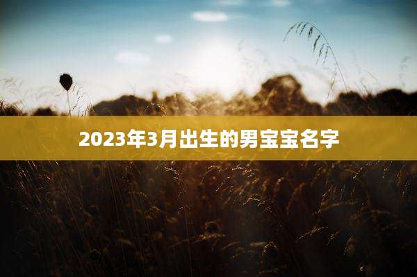 2023年3月出生的男宝宝名字