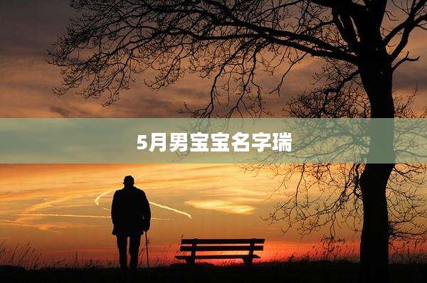 5月男宝宝名字瑞