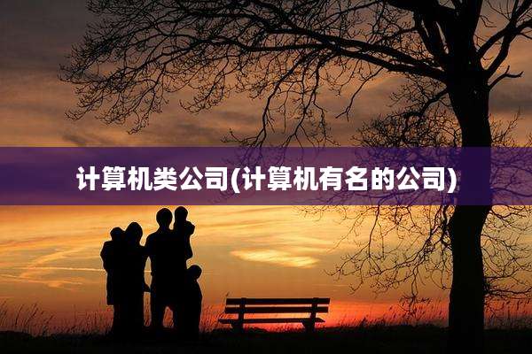 计算机类公司(计算机有名的公司)