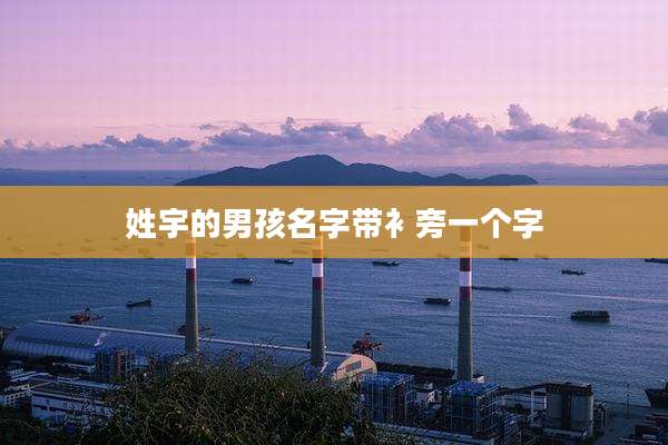 姓宇的男孩名字带衤旁一个字