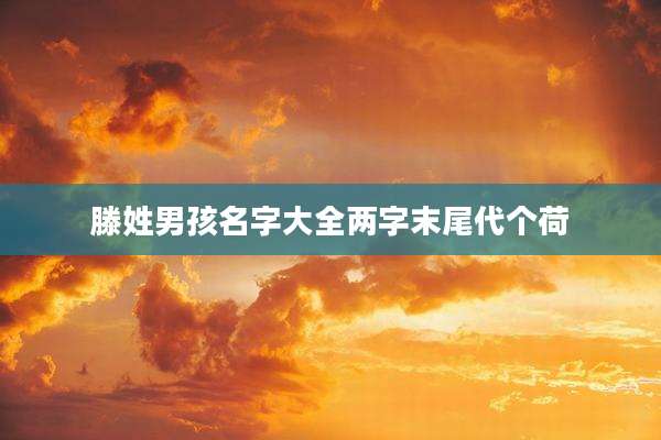 滕姓男孩名字大全两字末尾代个荷
