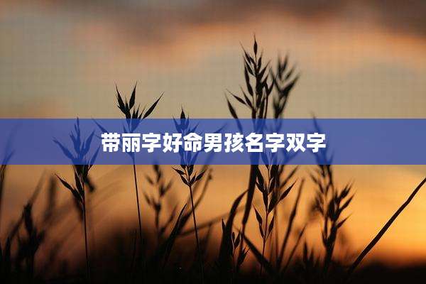 带丽字好命男孩名字双字