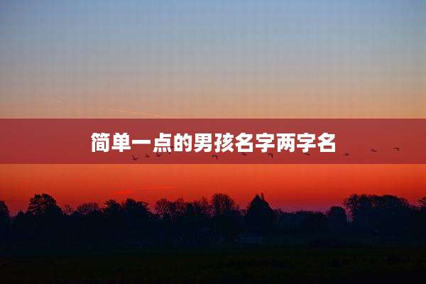 简单一点的男孩名字两字名