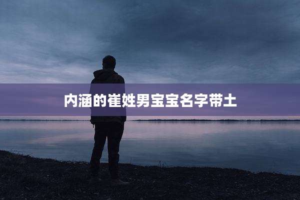 内涵的崔姓男宝宝名字带土