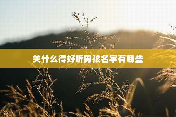 关什么得好听男孩名字有哪些
