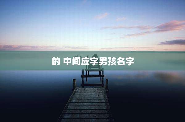 的 中间应字男孩名字