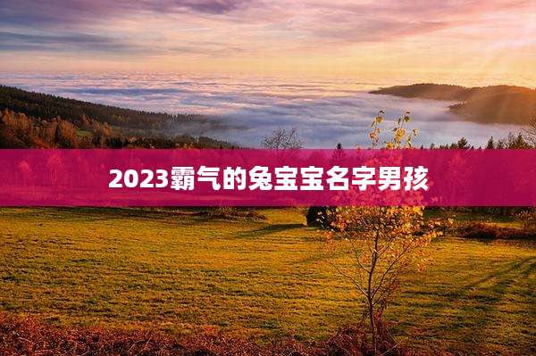 2023霸气的兔宝宝名字男孩