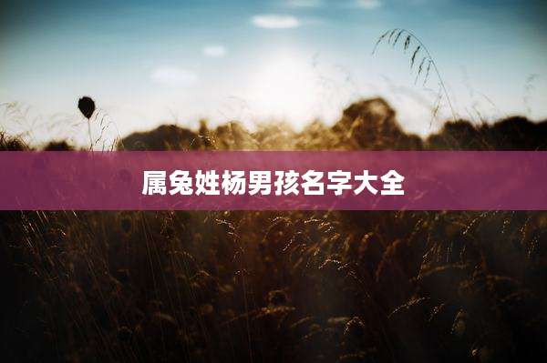 属兔姓杨男孩名字大全
