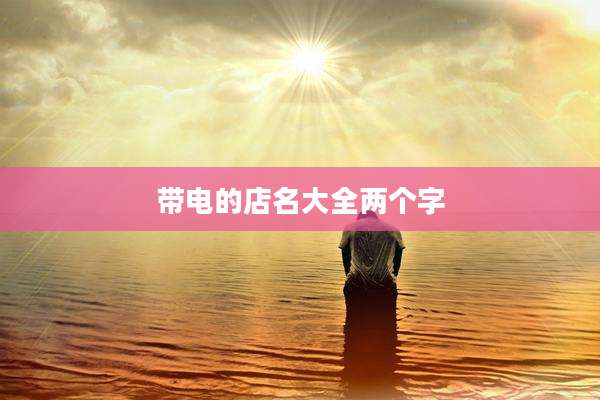 带电的店名大全两个字