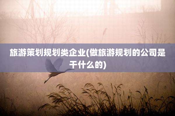 旅游策划规划类企业(做旅游规划的公司是干什么的)