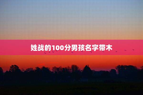 姓战的100分男孩名字带木