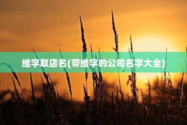 维字取店名(带维字的公司名字大全)