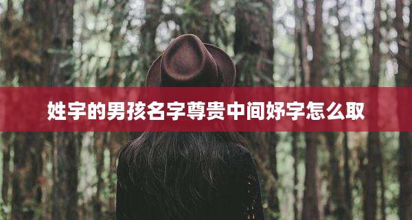 姓宇的男孩名字尊贵中间妤字怎么取
