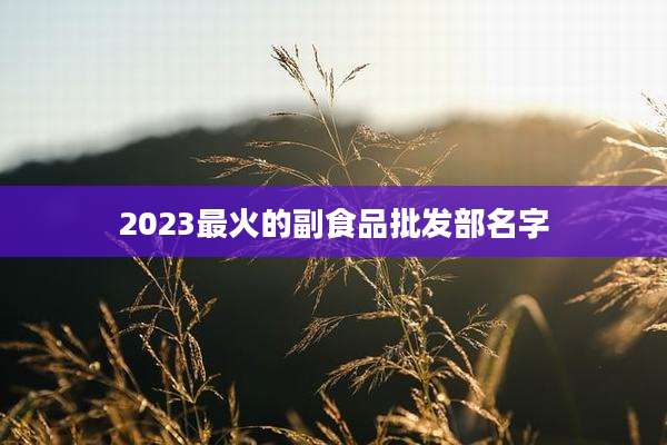 2023最火的副食品批发部名字