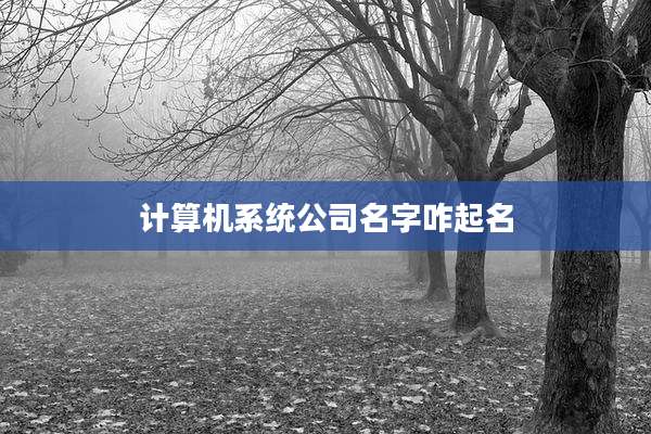 计算机系统公司名字咋起名
