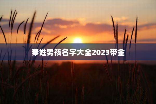 秦姓男孩名字大全2023带金