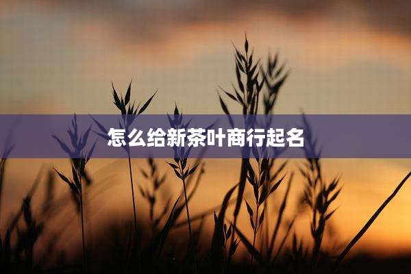 怎么给新茶叶商行起名