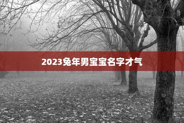 2023兔年男宝宝名字才气