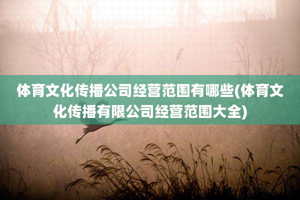 体育文化传播公司经营范围有哪些(体育文化传播有限公司经营范围大全)