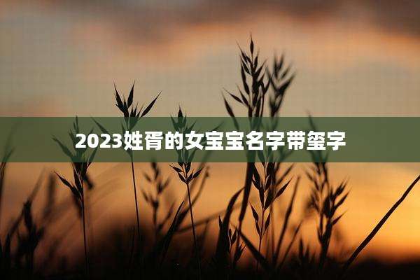 2023姓胥的女宝宝名字带玺字
