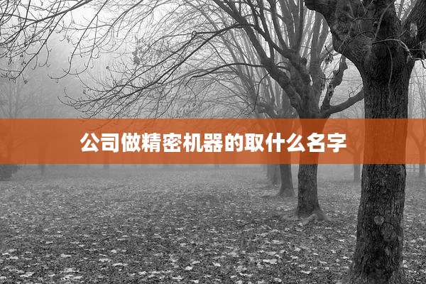 公司做精密机器的取什么名字
