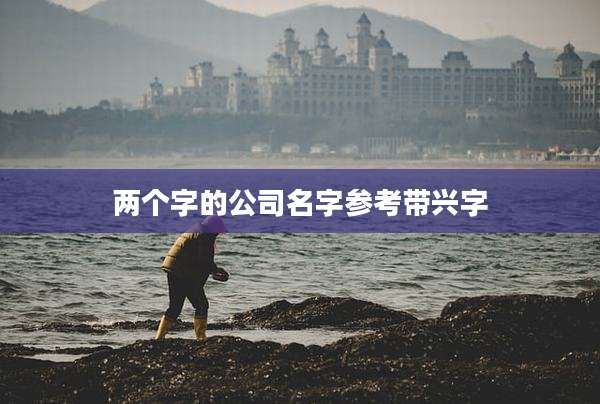 两个字的公司名字参考带兴字