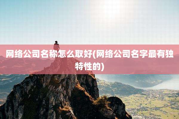 网络公司名称怎么取好(网络公司名字最有独特性的)