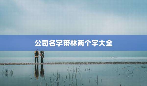 公司名字带林两个字大全